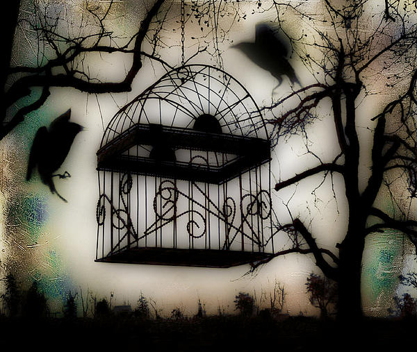 birdcage-gothic-and-crows-art-photography.jpg